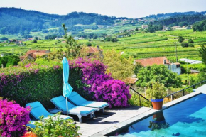 Гостиница Quinta de San Amaro Hotel Y Restaurante  Меаньо